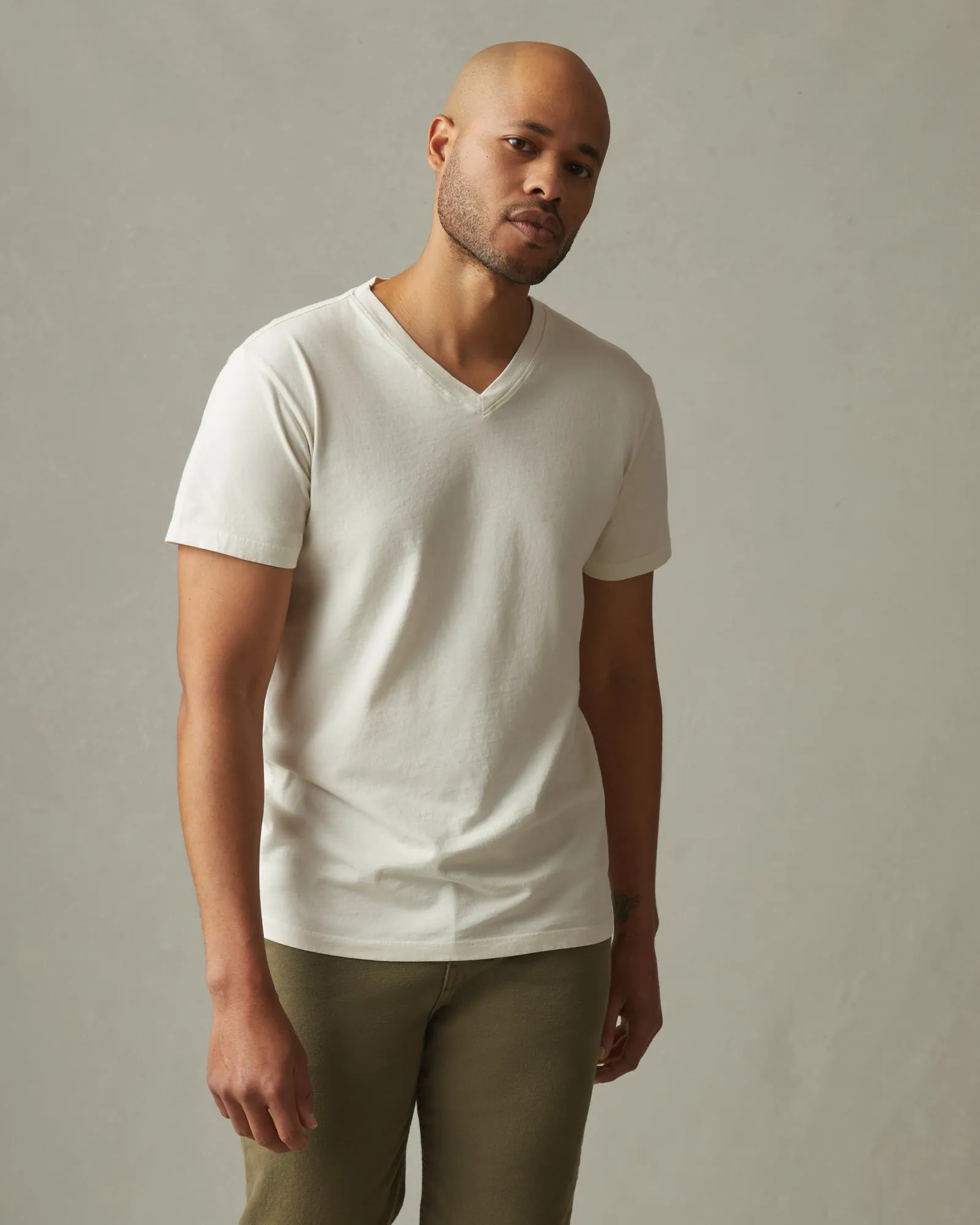 Classic Cotton V-Neck Tee - Turtledove