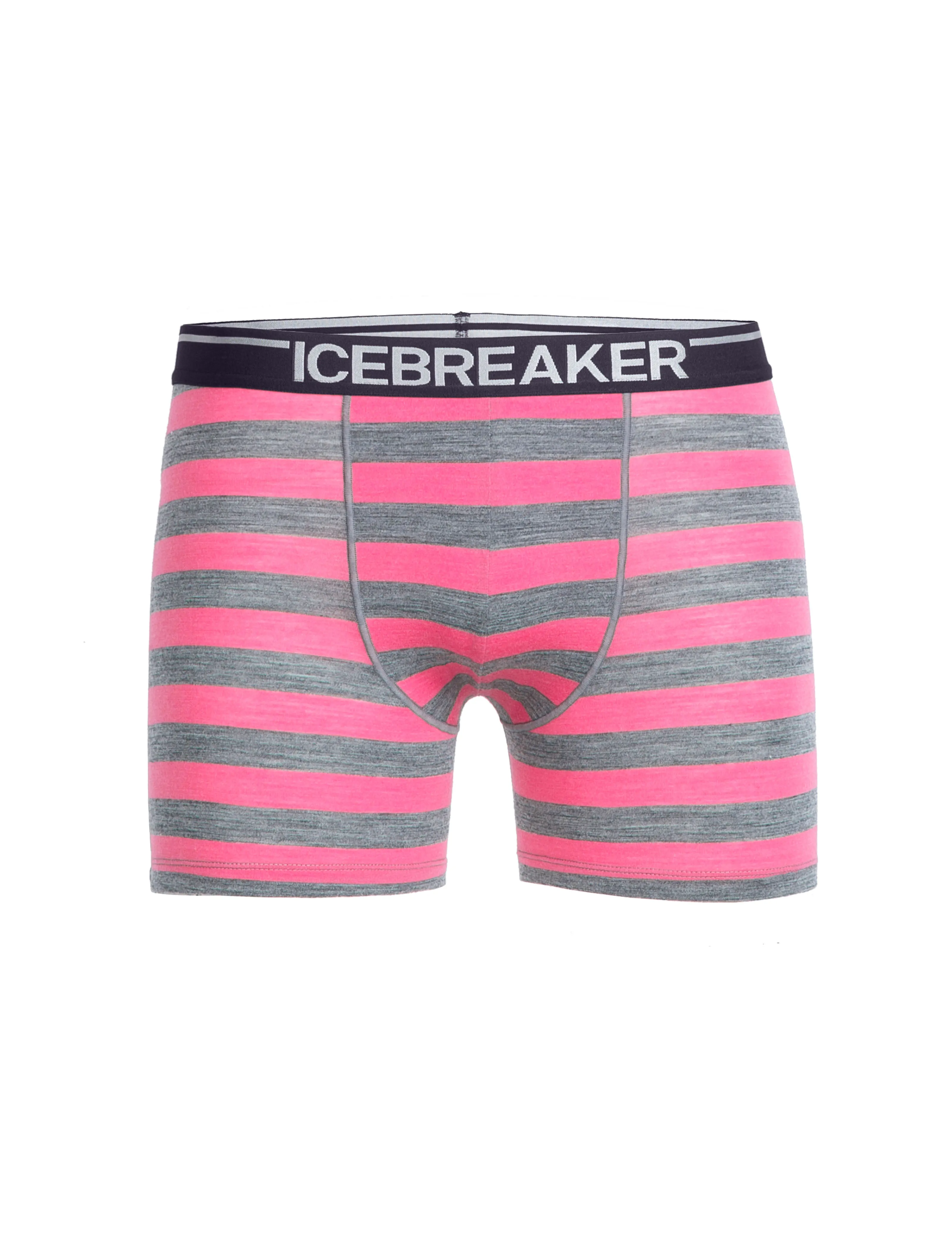 Icebreaker Undergarment Merino 150 Men's Anatomica Boxers Briefs Underwear