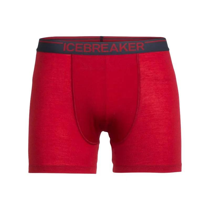 Icebreaker Undergarment Merino 150 Men's Anatomica Boxers Briefs Underwear