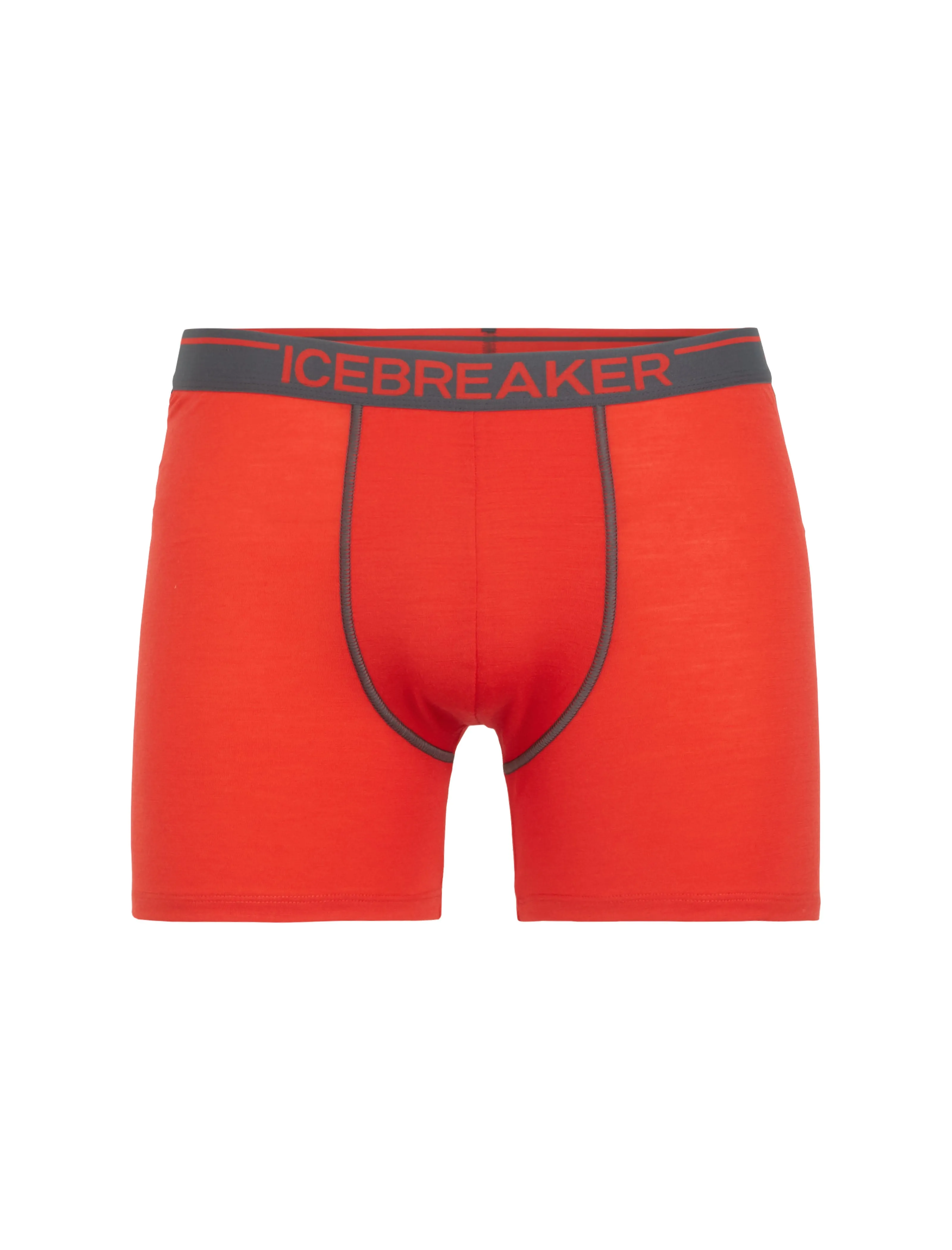 Icebreaker Undergarment Merino 150 Men's Anatomica Boxers Briefs Underwear