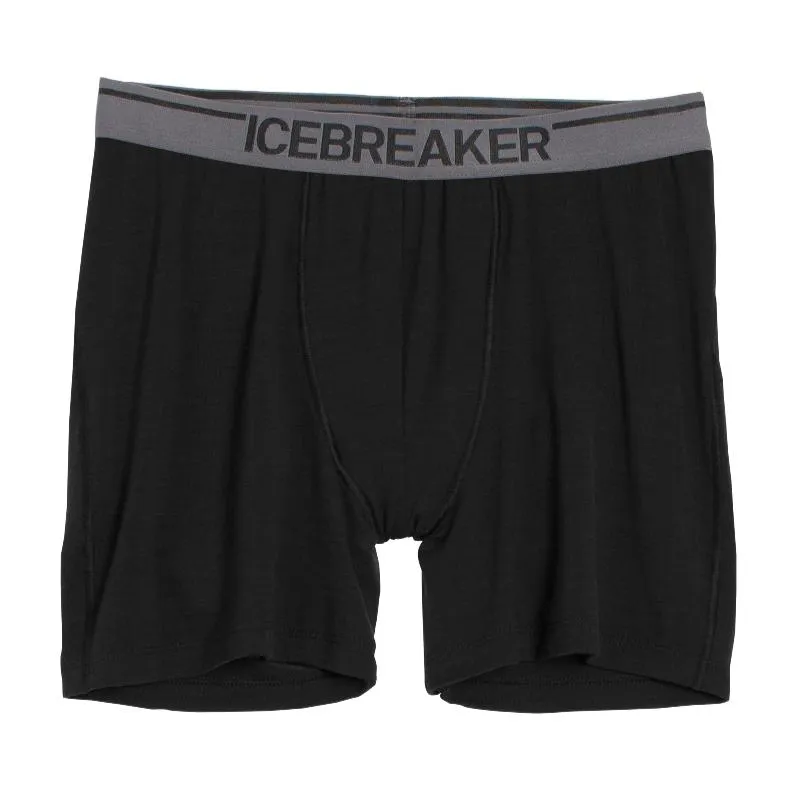 Icebreaker Undergarment Merino 150 Men's Anatomica Boxers Briefs Underwear