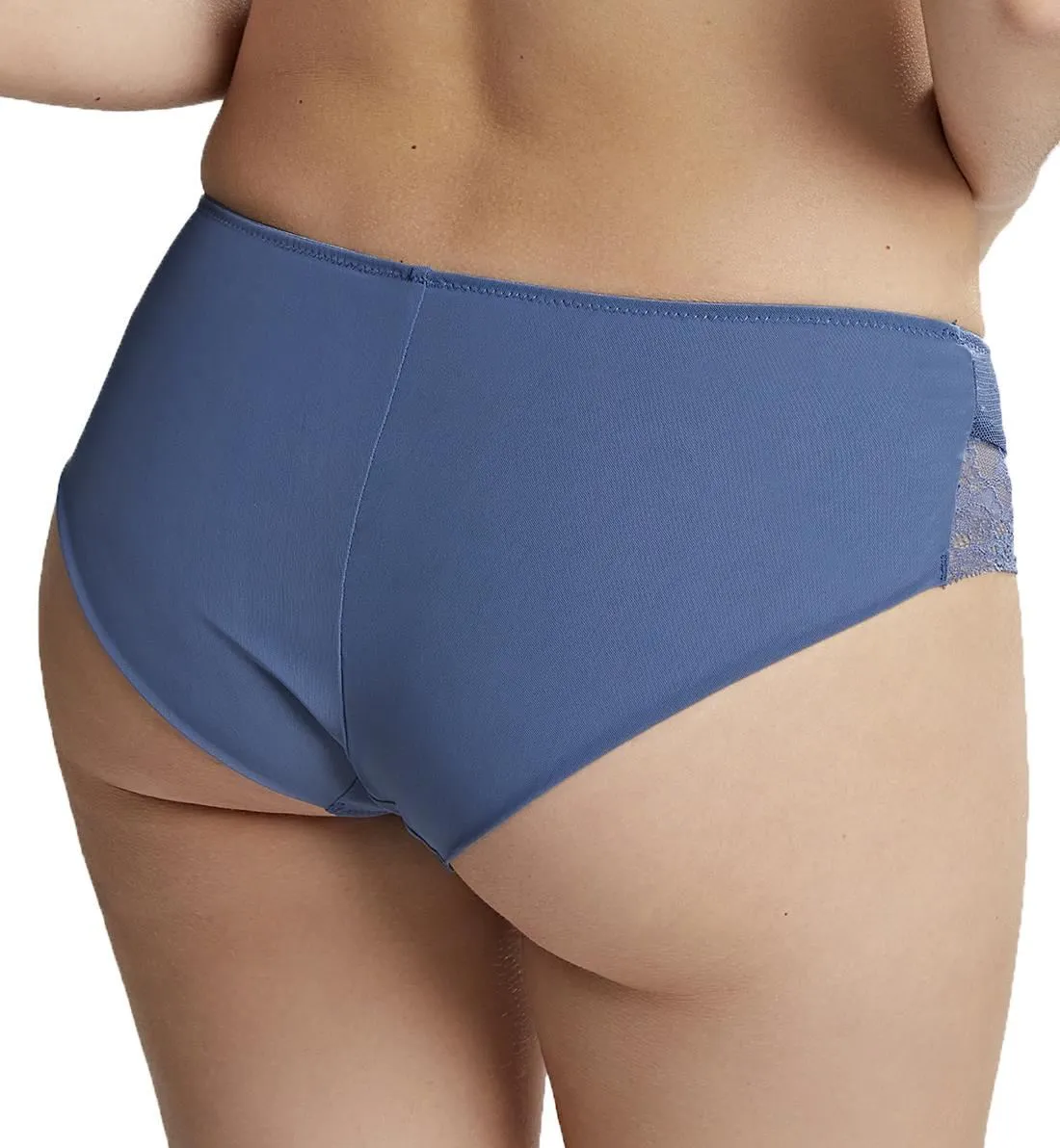 Panache Ana Matching Brief (9395) - Vintage Blue