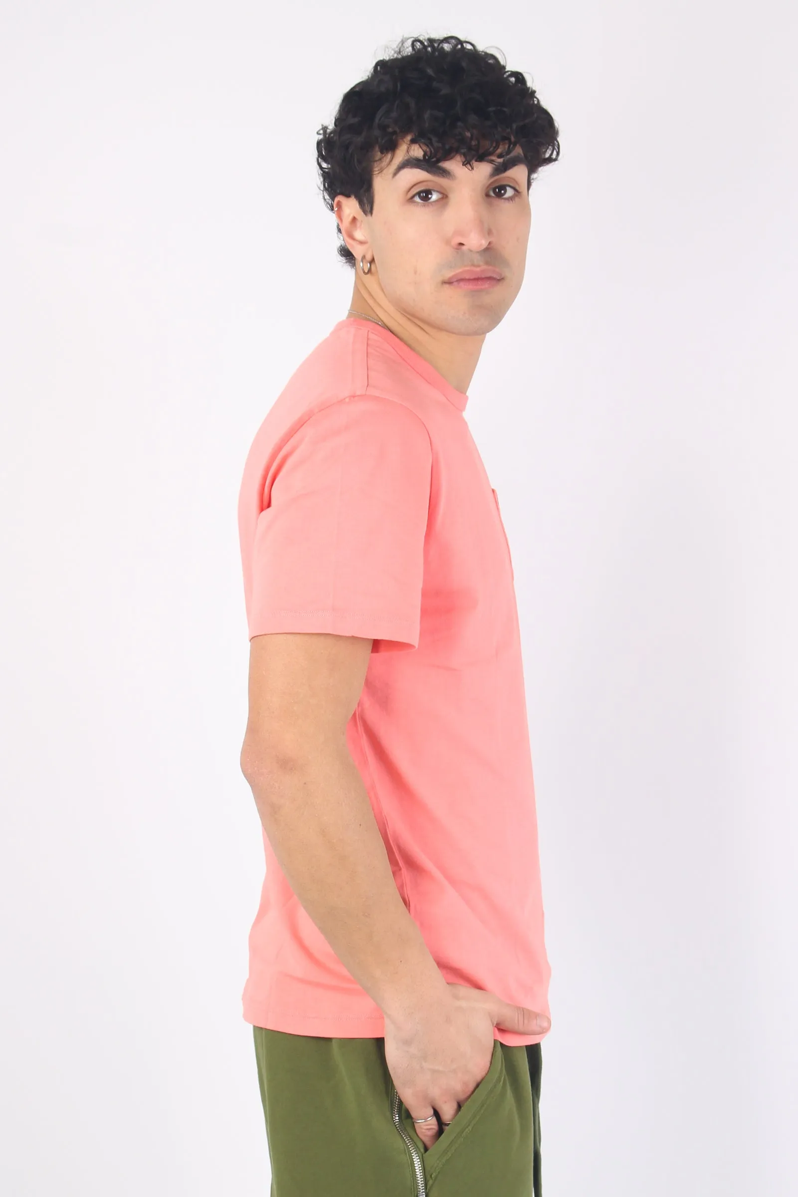 T-shirt Cotone Fiammato Taschi Fenicottero